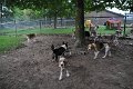 Afb_20160801_0089