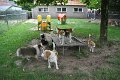 Afb_20160801_0099