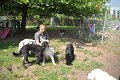 Afb_20160801_0107