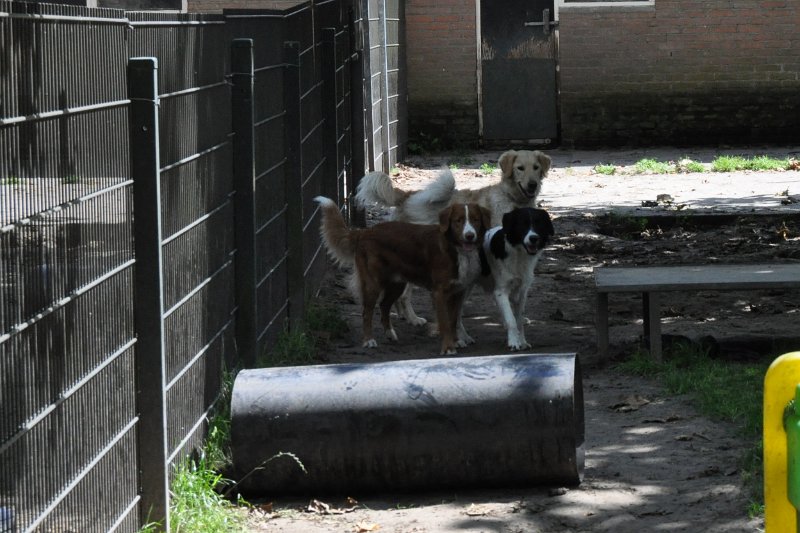 Afb_20160815_34415.JPG