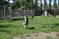 Afb_20160815_34431