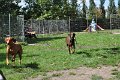 Afb_20160815_34432
