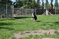 Afb_20160815_34439
