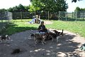 Afb_20160817_34556