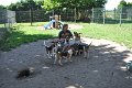 Afb_20160817_34557