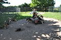 Afb_20160817_34564