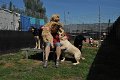 Afb_20160818_34680