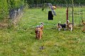 Afb_20161018_1467