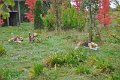 Afb_20161018_1561