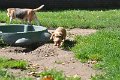Afb_20160718_29999