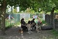 Afb_20160718_30130