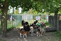 Afb_20160718_30131