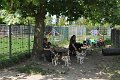 Afb_20160718_30132