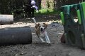 Afb_20160718_30157