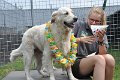 Afb_20160723_30294