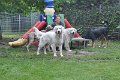 Afb_20160727_31123