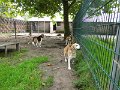 Afb_20160731_0036