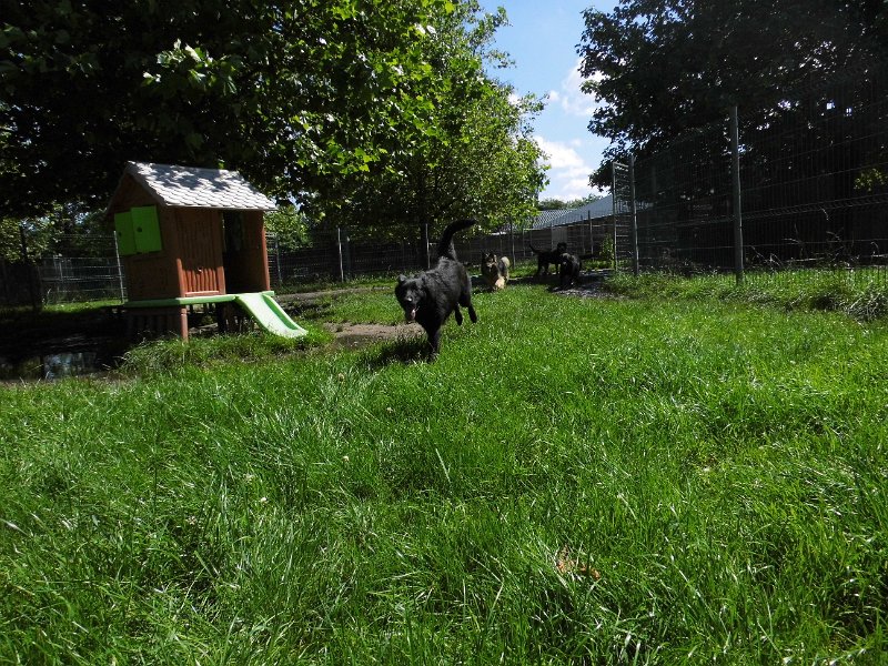 Afb_20160622_29567.JPG