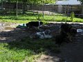 Afb_20160622_29591