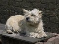 Afb_20160623_29625