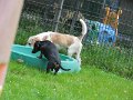 Afb_20160623_29680