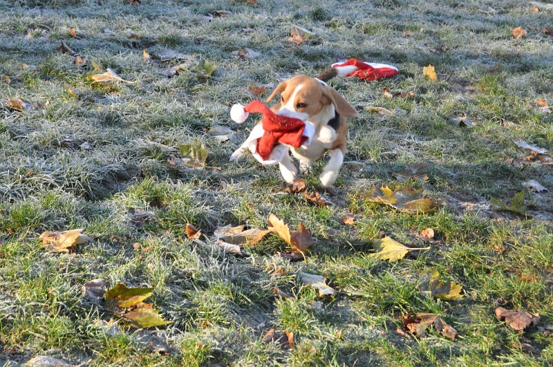 Afb_20161129_3198.JPG