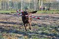 Afb_20161129_3186