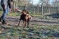 Afb_20161129_3195