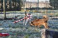 Afb_20161129_3217