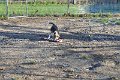 Afb_20161129_3224
