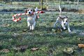 Afb_20161129_3283
