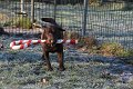 Afb_20161129_38295