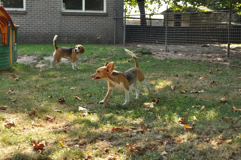 Afb_20160924_35843.JPG