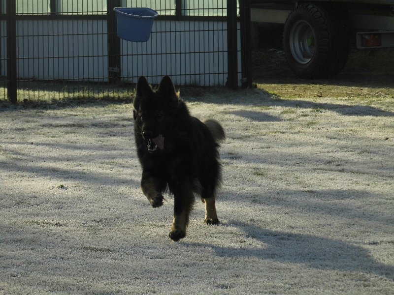 Afb_20160118_11266.JPG