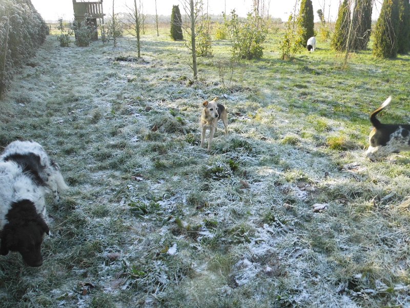 Afb_20160118_11308.JPG