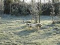 Afb_20160118_11185