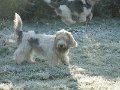 Afb_20160118_11188