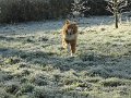 Afb_20160118_11190