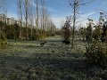 Afb_20160118_11196
