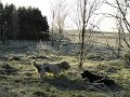 Afb_20160118_11198