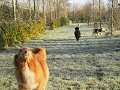 Afb_20160118_11199