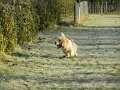 Afb_20160118_11201