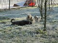 Afb_20160118_11214