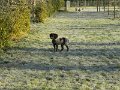 Afb_20160118_11228