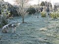Afb_20160118_11235