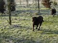 Afb_20160118_11243
