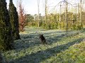 Afb_20160118_11253