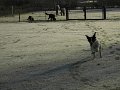 Afb_20160118_11260