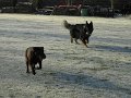 Afb_20160118_11263
