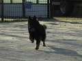 Afb_20160118_11266